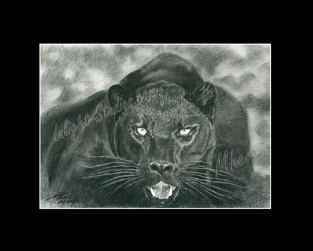 Panthera